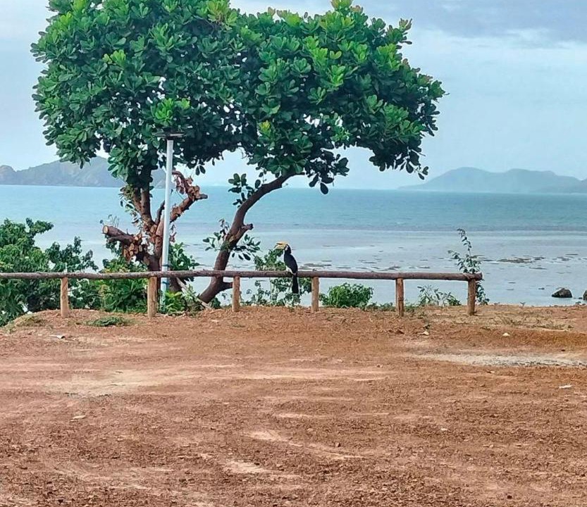 Photo of Others in Ko Phaluai