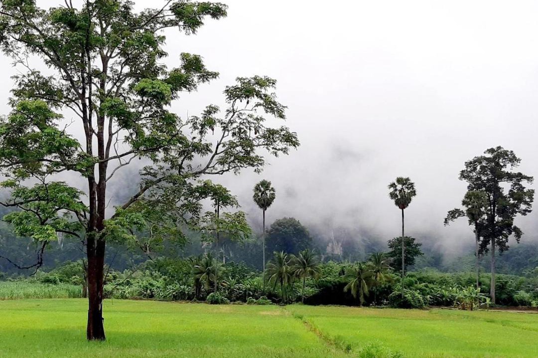 Photo of Others in Noen Maprang