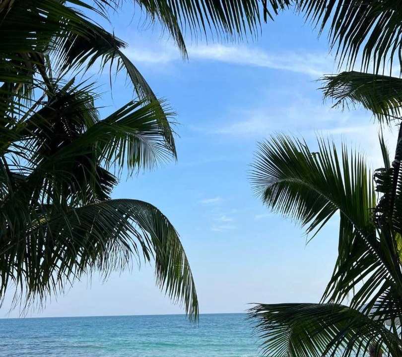 Photo of Others in Rayong