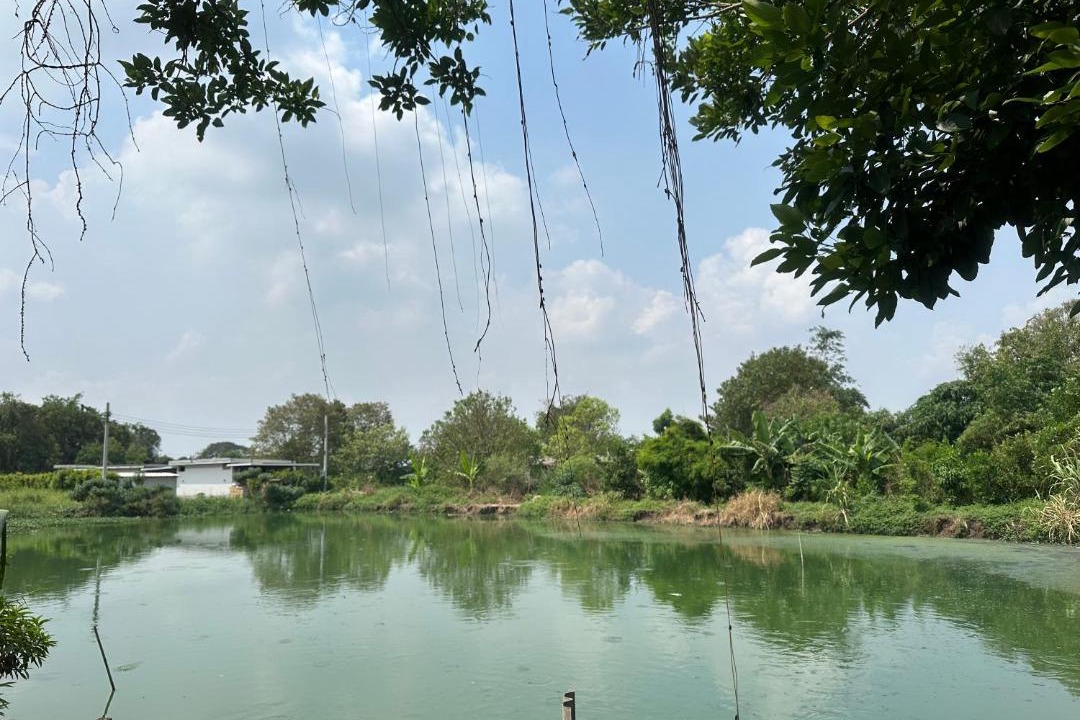 Photo of Others in Lat Krabang