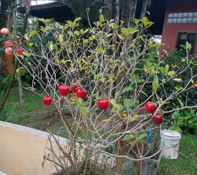 Photo of Outdoor in Mae Rim
