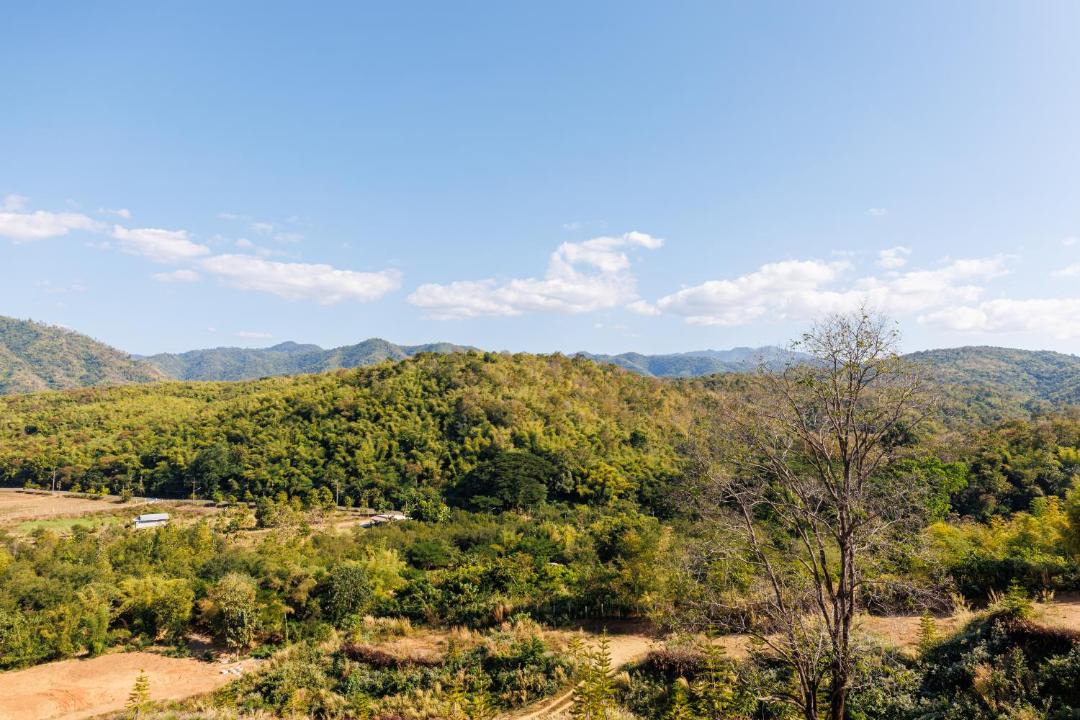 Photo of Others in Phetchabun