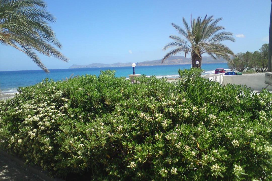 Photo of Others in Sitia
