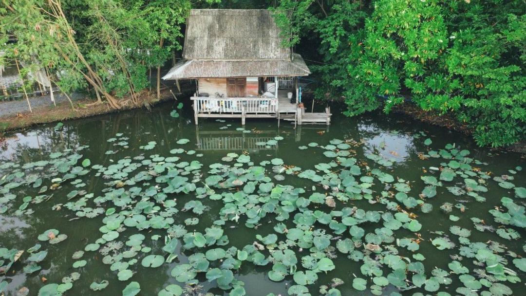 Photo of Others in Bang Bo