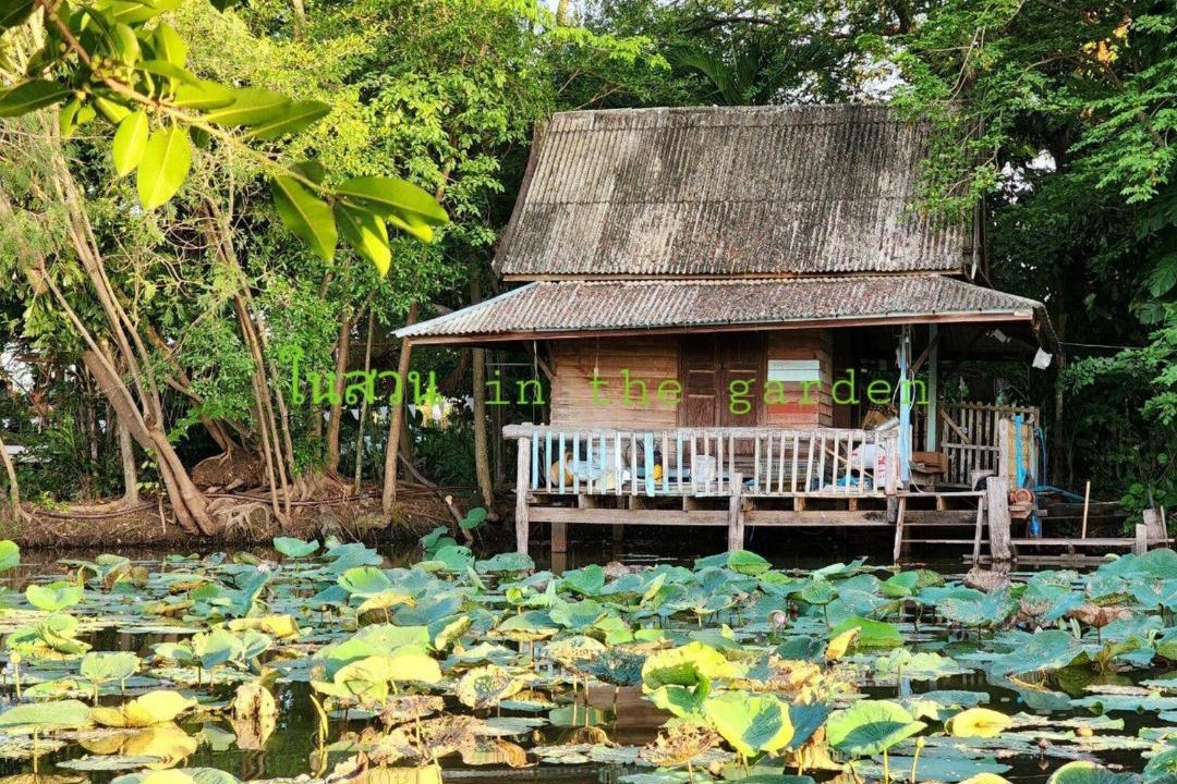 Photo of Others in Bang Bo