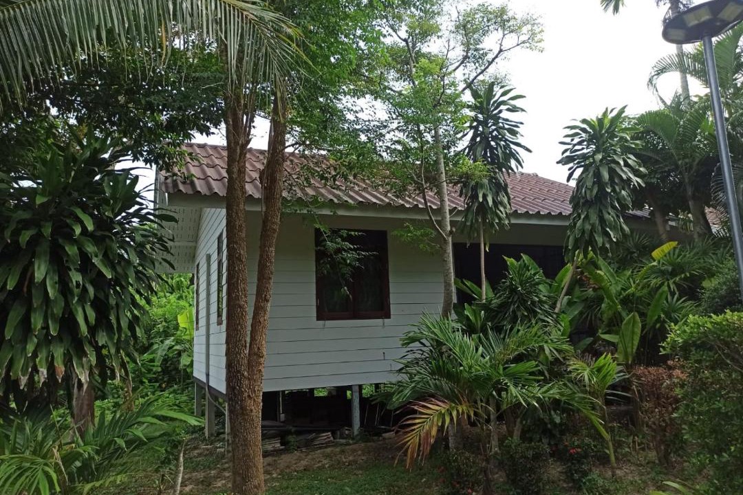 Photo of Others in Ko Lanta