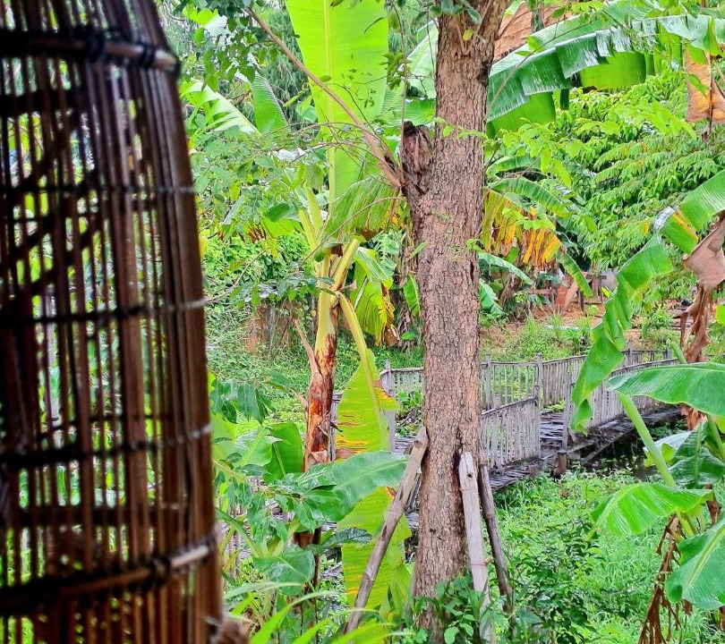 Photo of Others in Svay Pao
