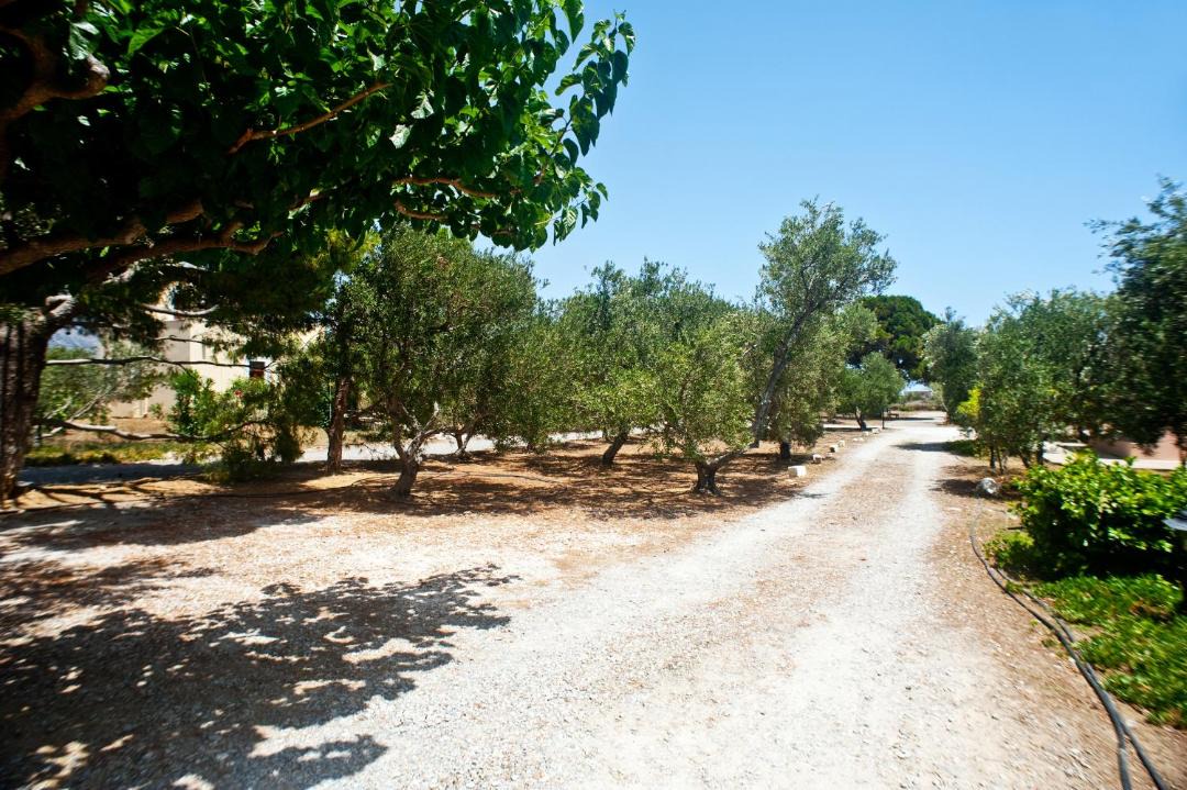 Photo of Others in Fragkokastello