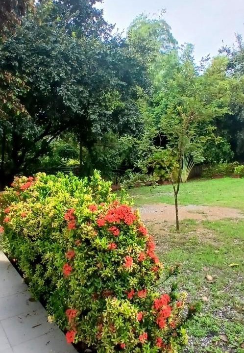 Photo of Outdoor in Sao Hai