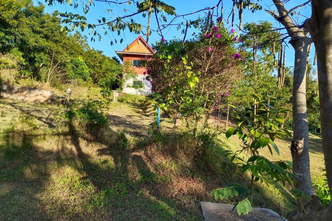 Photo of Others in Khao Kho
