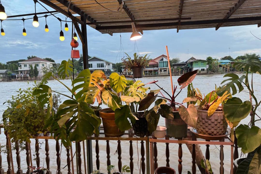Photo of Others in Ayutthaya