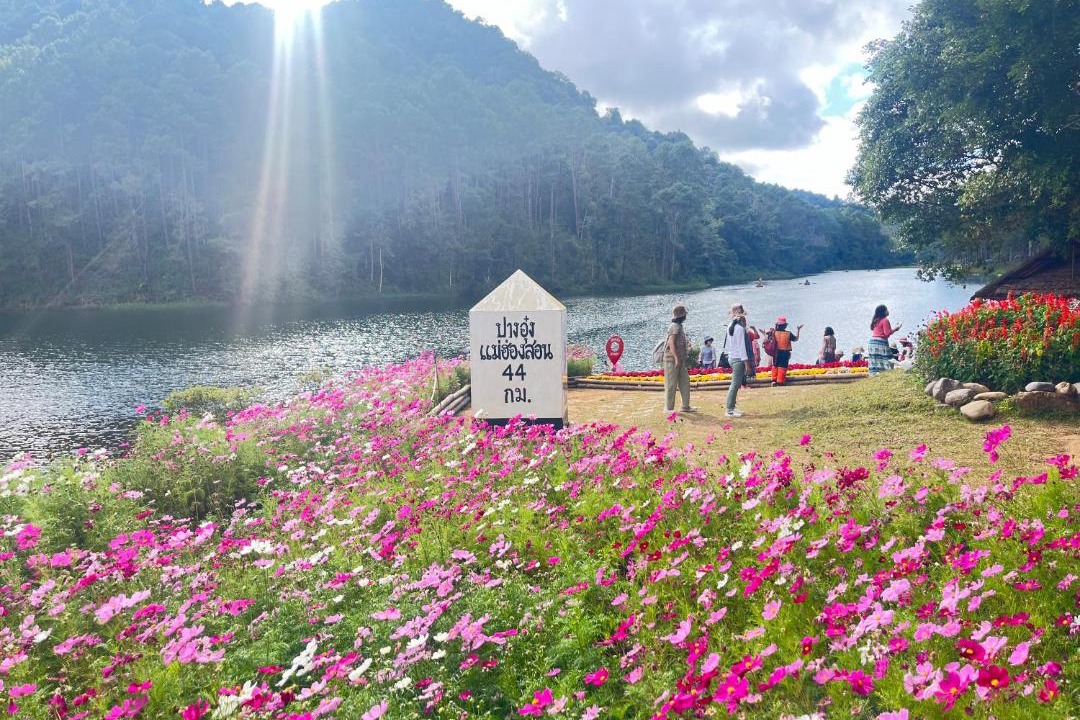 Photo of Others in Mok Cham Pae