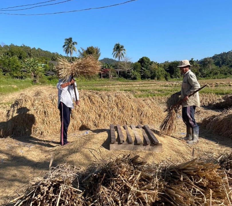 Photo of Others in Samoeng