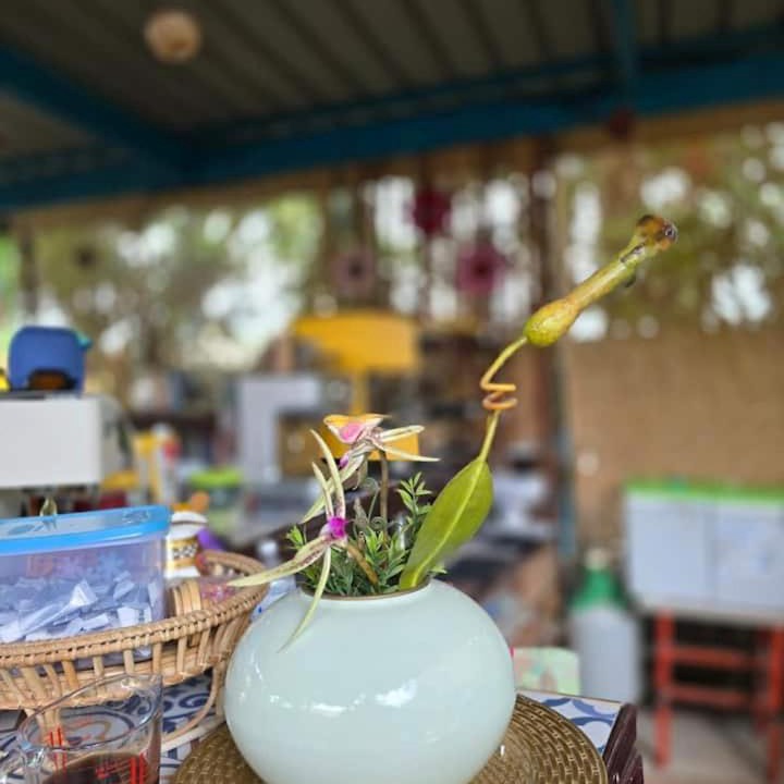 Photo of Others in Tha Muang
