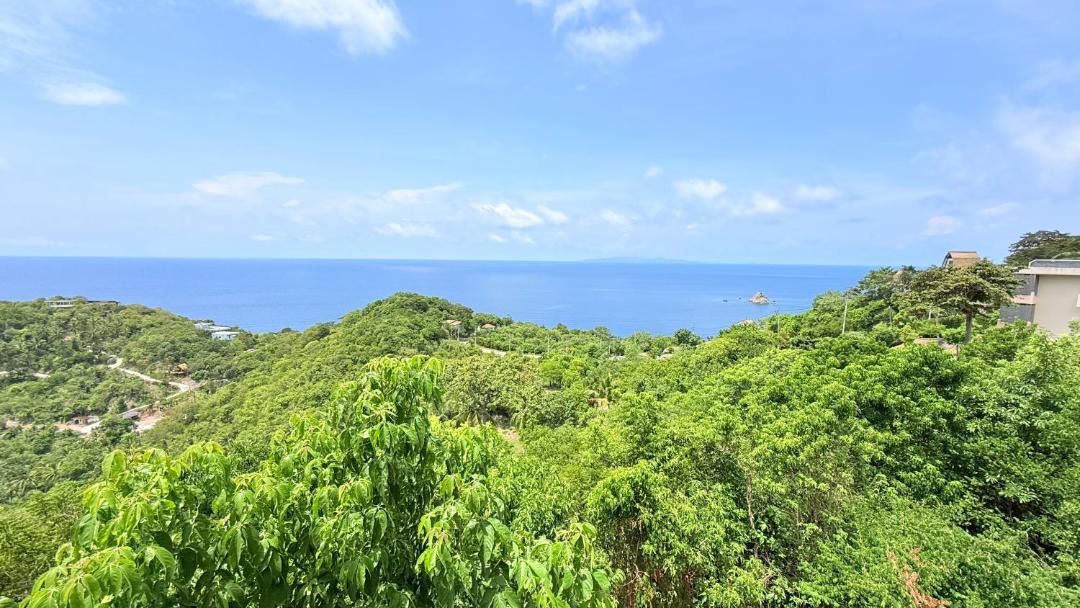 Photo of Others in Koh Tao