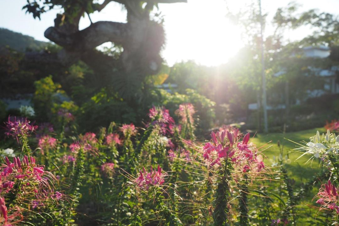 Photo of Outdoor in Phaya Yen