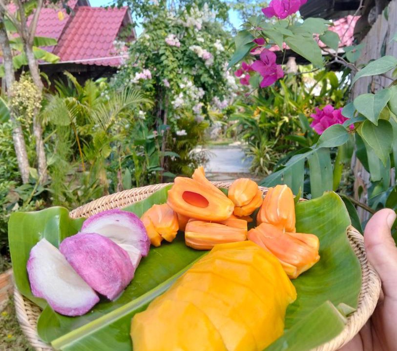 Photo of Others in Svay Pao