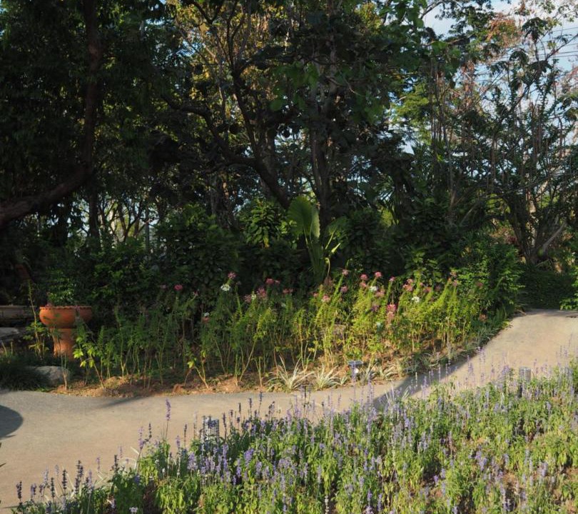 Photo of Outdoor in Phaya Yen