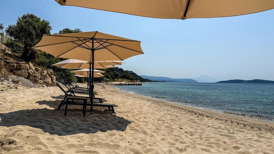 Photo of Others in Aristotelis
