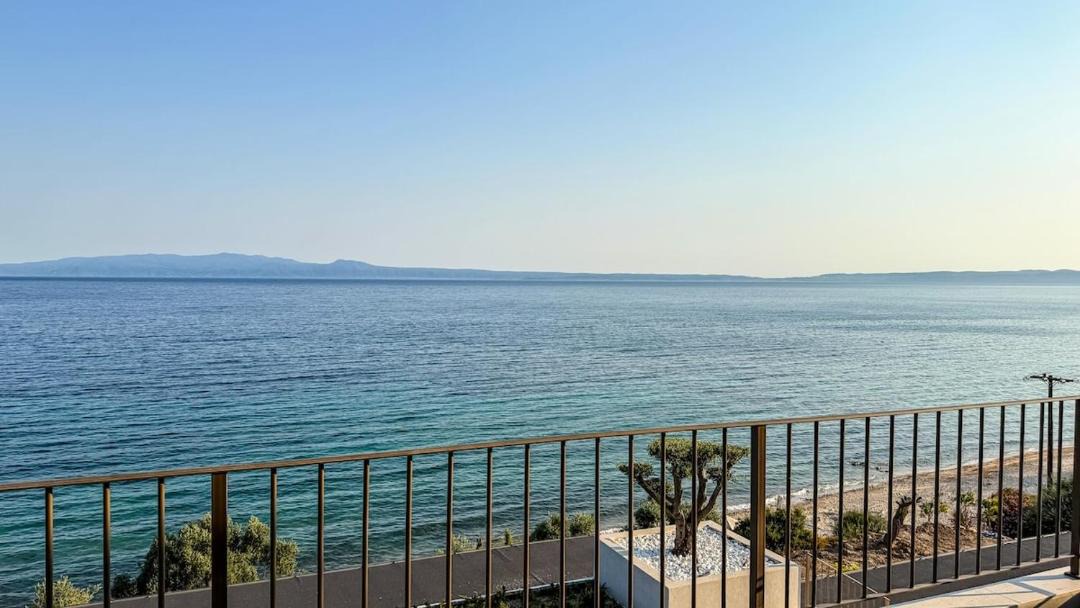Photo of Others in Aristotelis