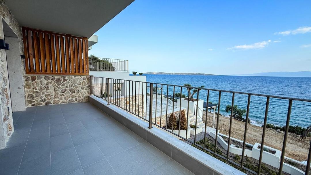 Photo of Others in Aristotelis