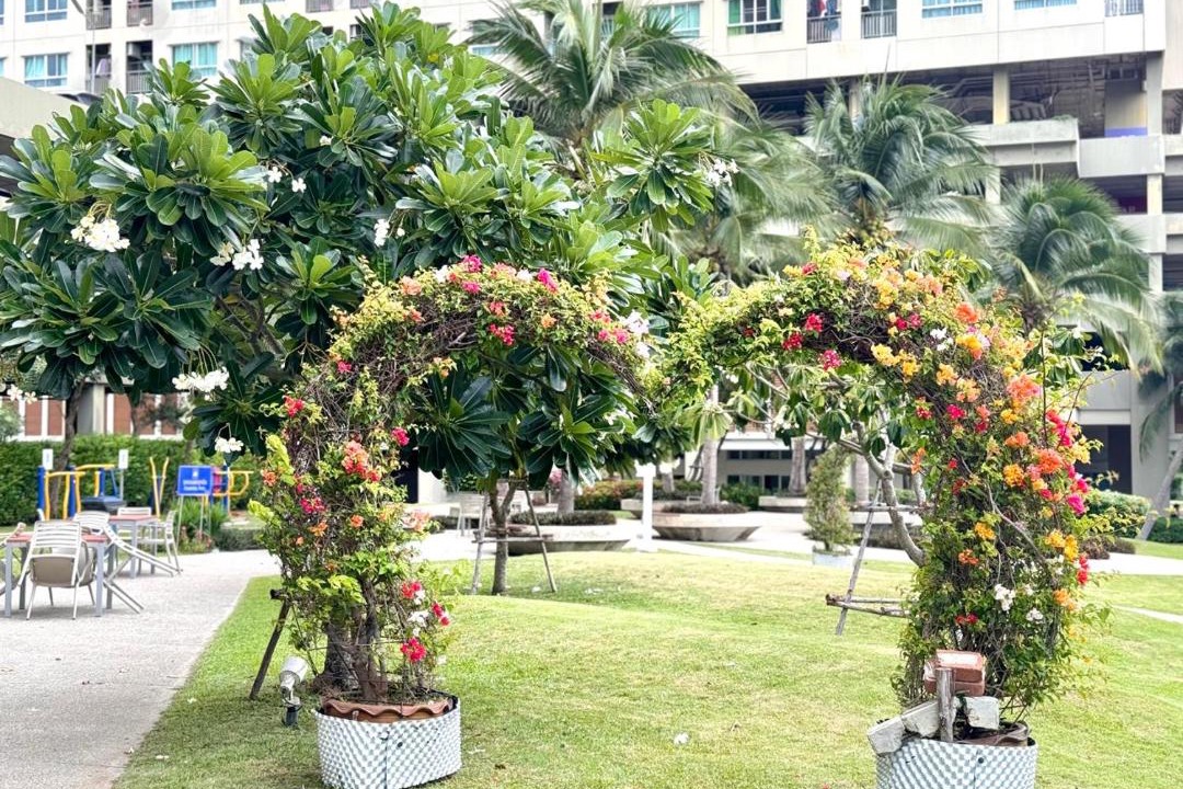 Photo of Others in North Pattaya