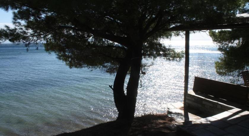 Photo of Others in Halkidiki