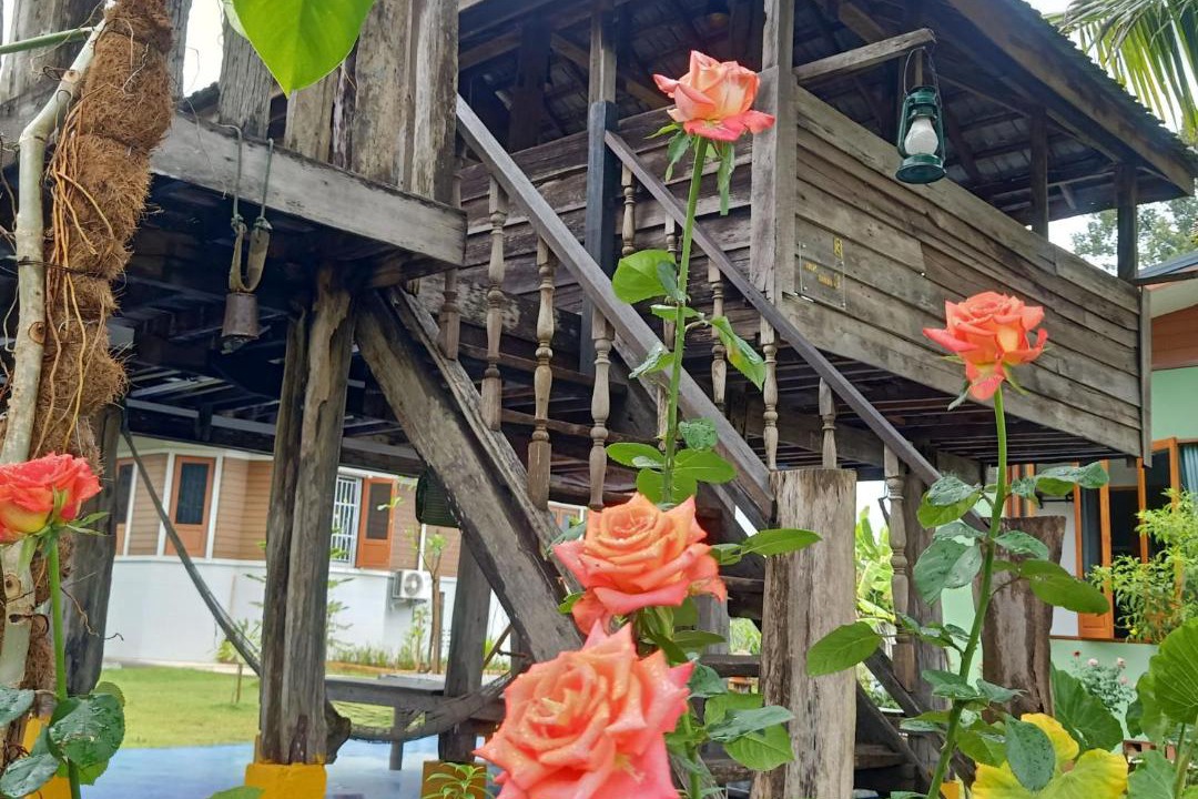 Photo of Others in San Pu Loei