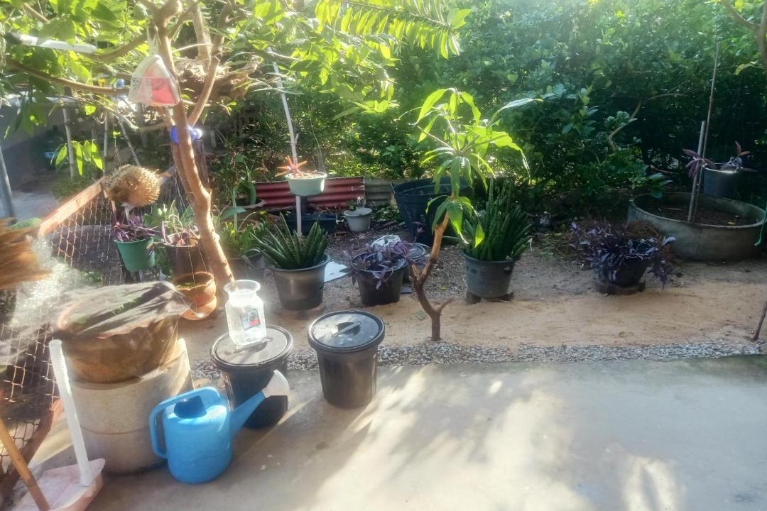 Photo of Others in Sattahip