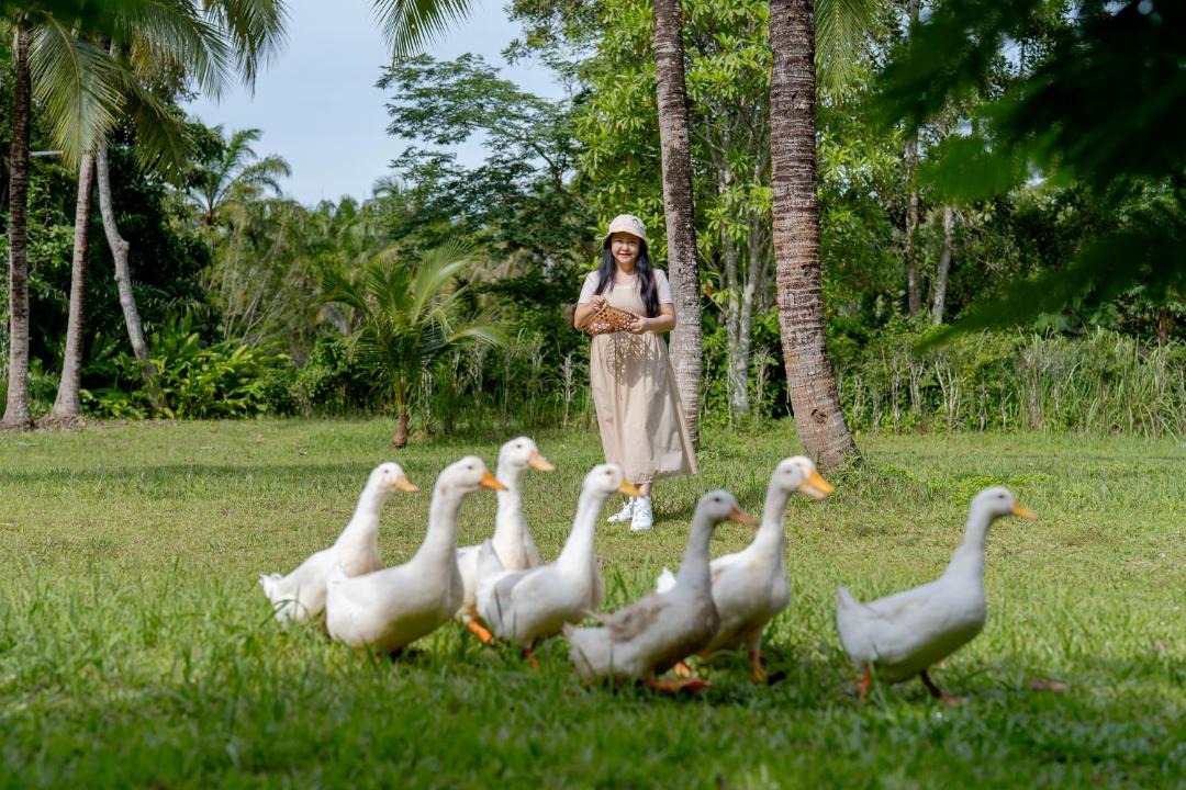 Photo of Others in Krabi