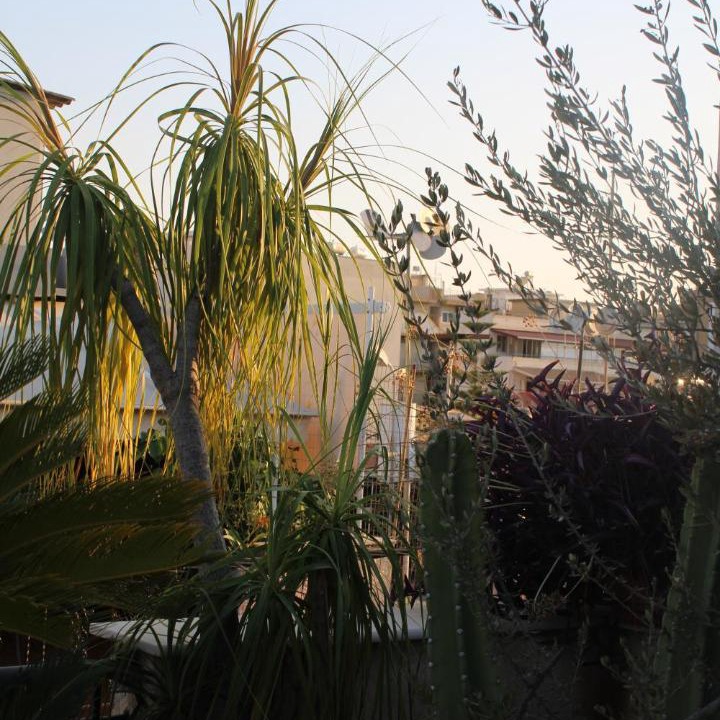 Photo of Others in Patras