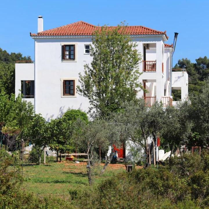 Photo of Others in Alikias