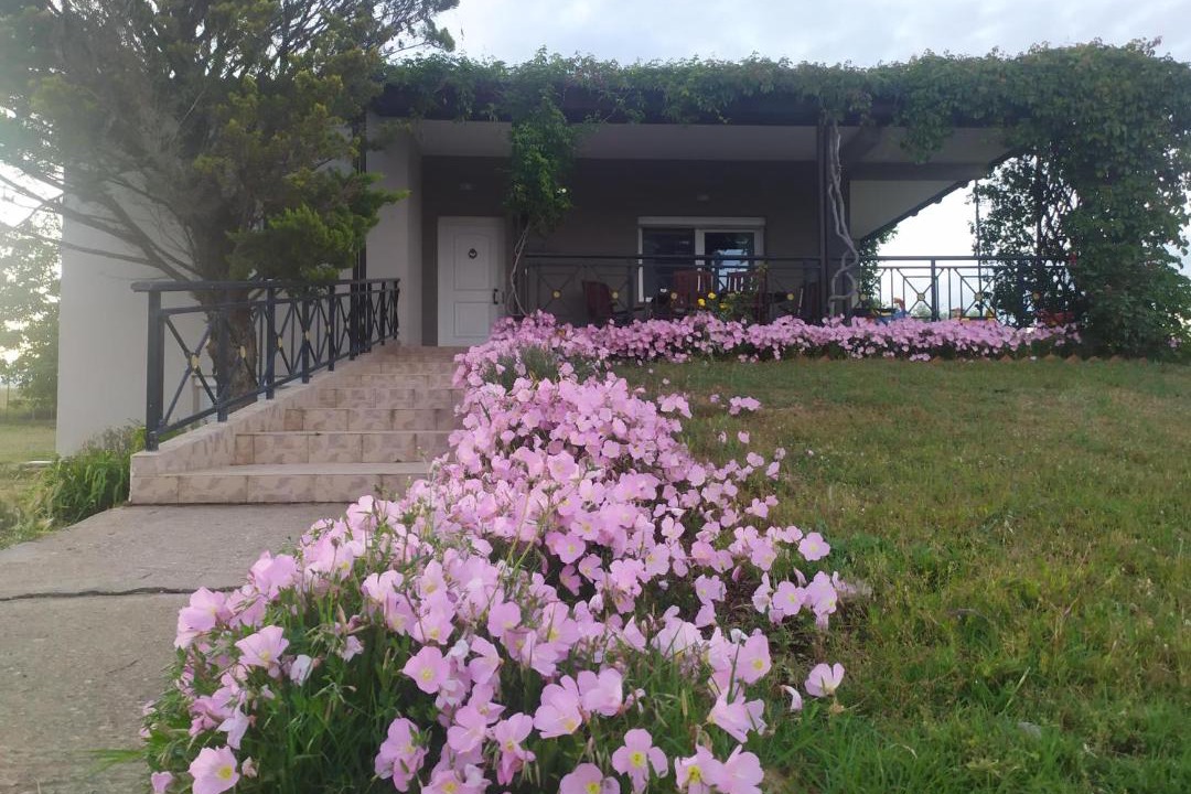 Photo of Others in Alexandroupoli