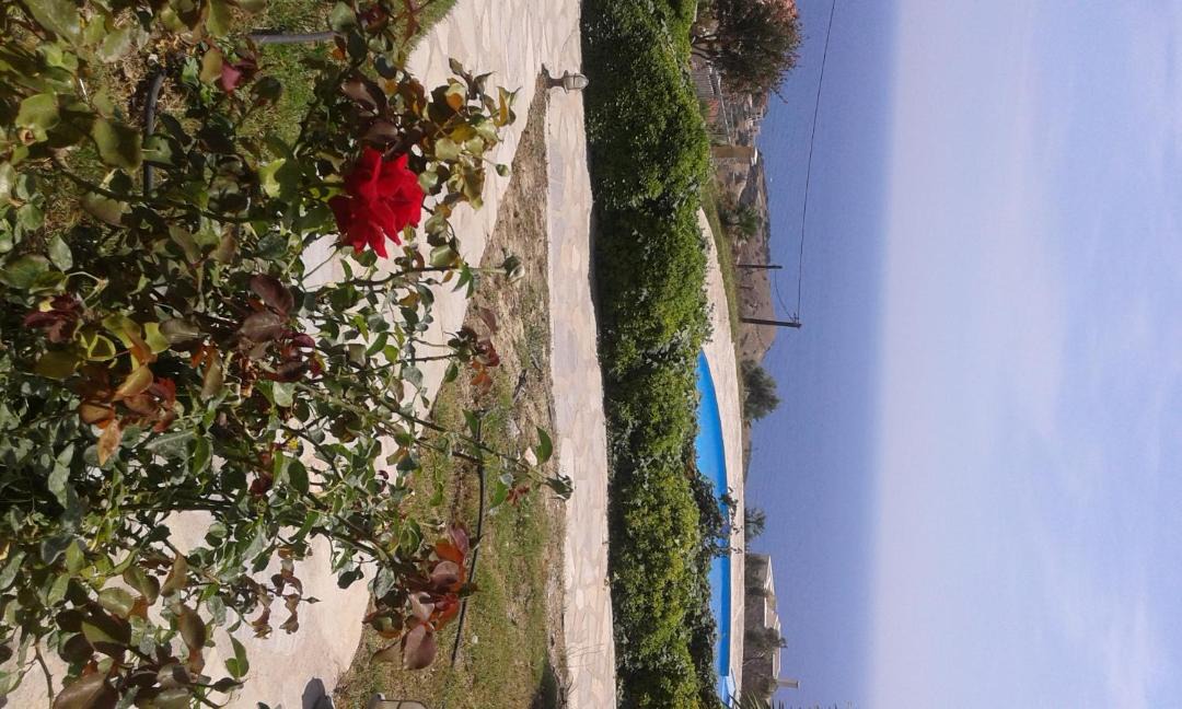 Photo of Others in Agios Vasileios