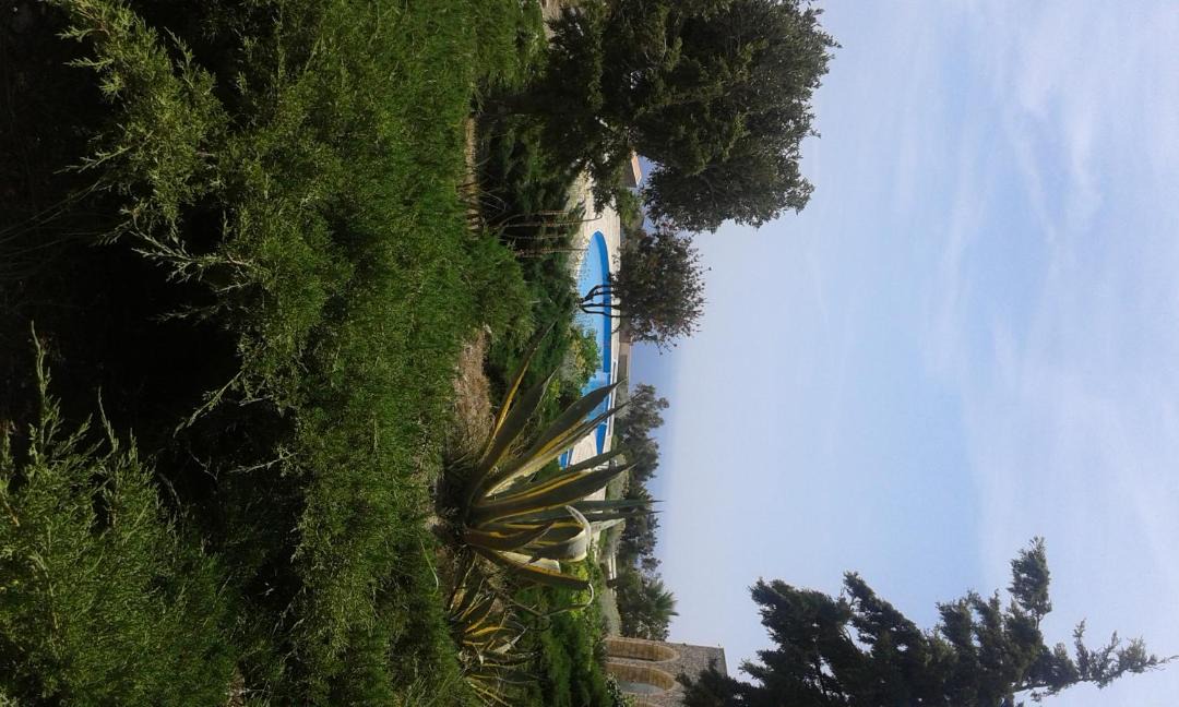 Photo of Others in Agios Vasileios