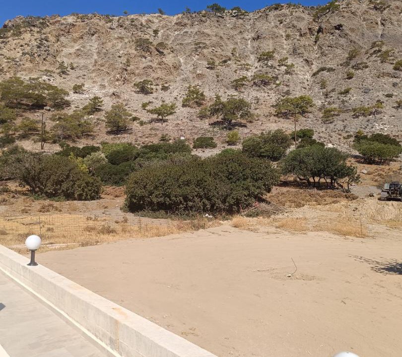 Photo of Others in Sougia