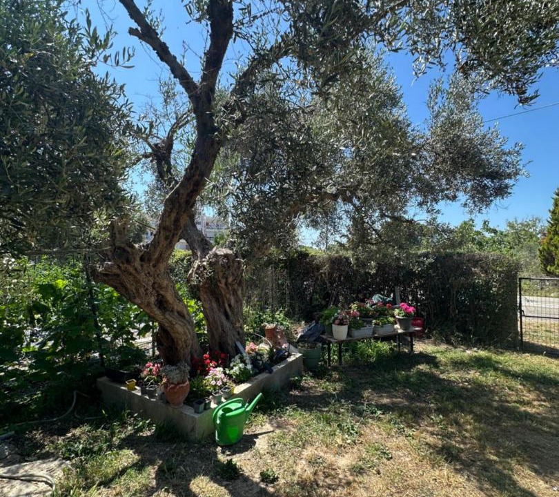 Photo of Outdoor in Agia Paraskevi