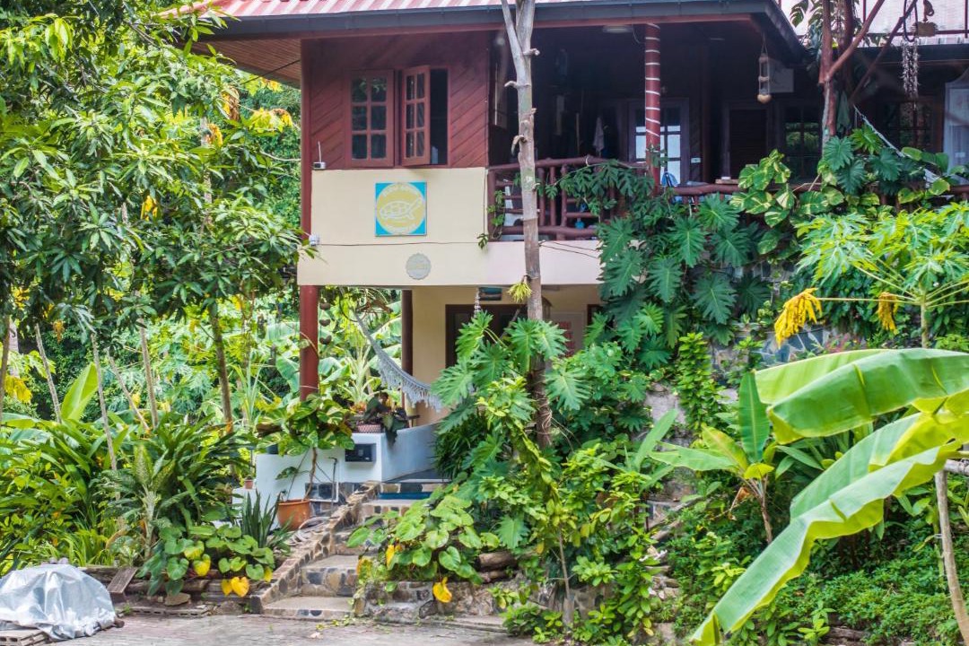 Photo of Others in Koh Tao
