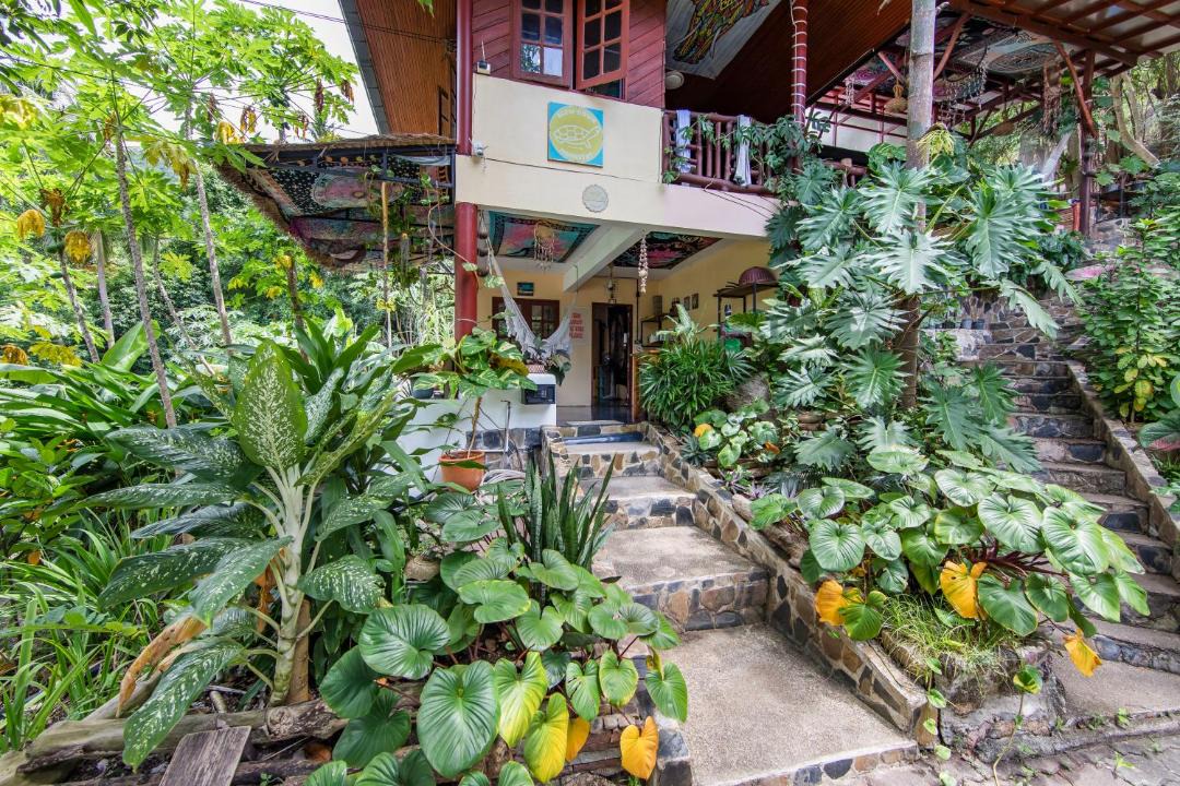 Photo of Others in Koh Tao