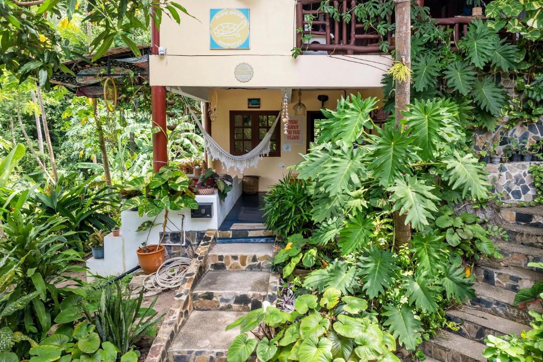 Photo of Others in Koh Tao