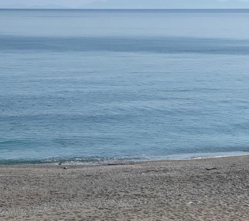 Photo of Others in Mourteri
