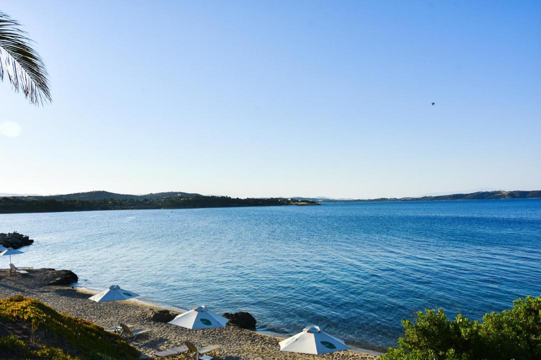 Photo of Others in Aristotelis