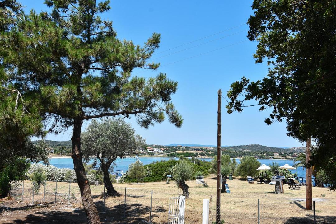 Photo of Others in Aristotelis