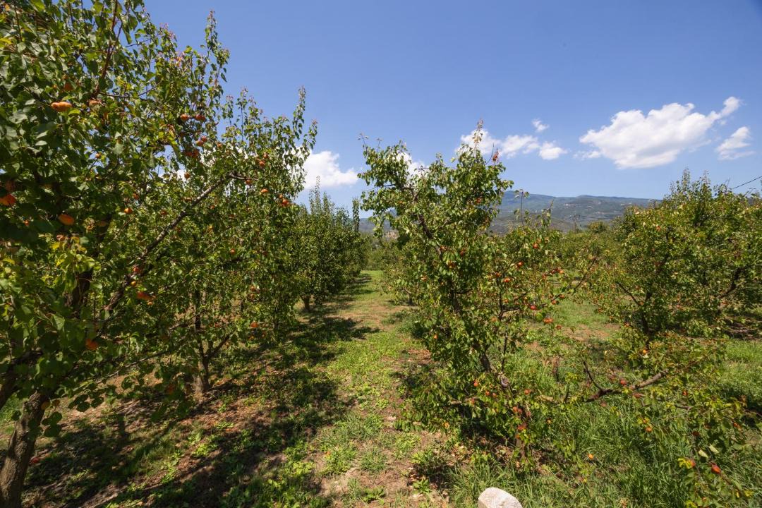 Photo of Outdoor in Ano Lechonia