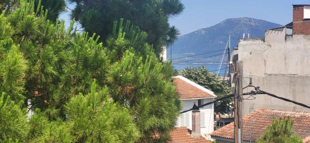 Photo of Others in Istiaia-Aidipsos