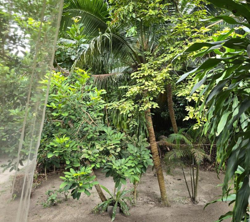 Photo of Others in Baan Tai