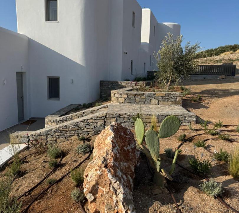 Photo of Others in Paros