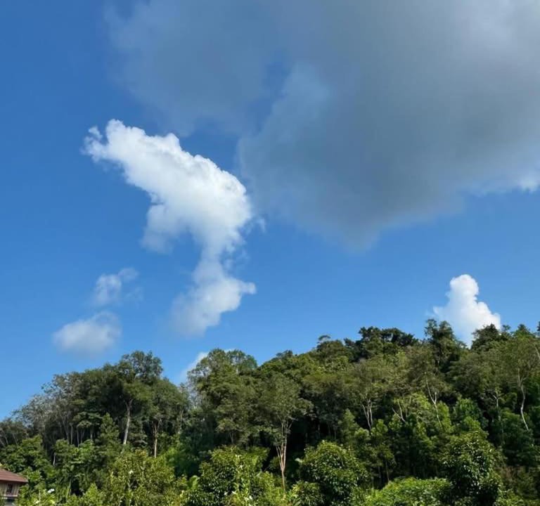 Photo of Outdoor in Ko Kood