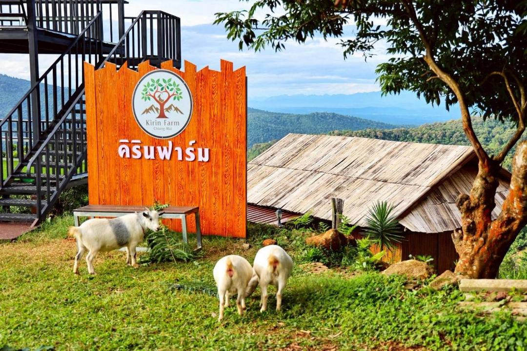 Photo of Others in Mae Rim