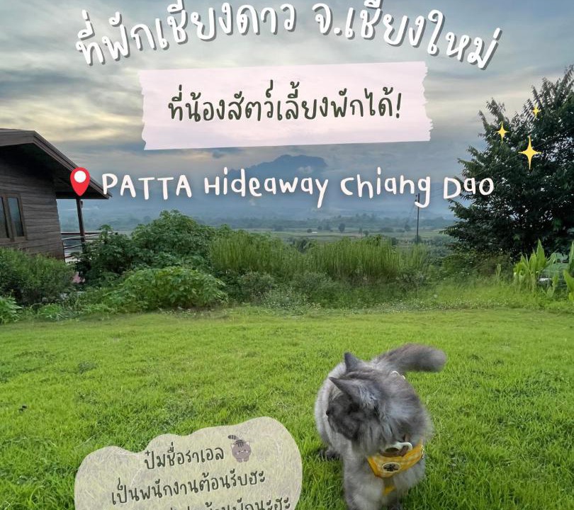 Photo of Others in Chiang Dao
